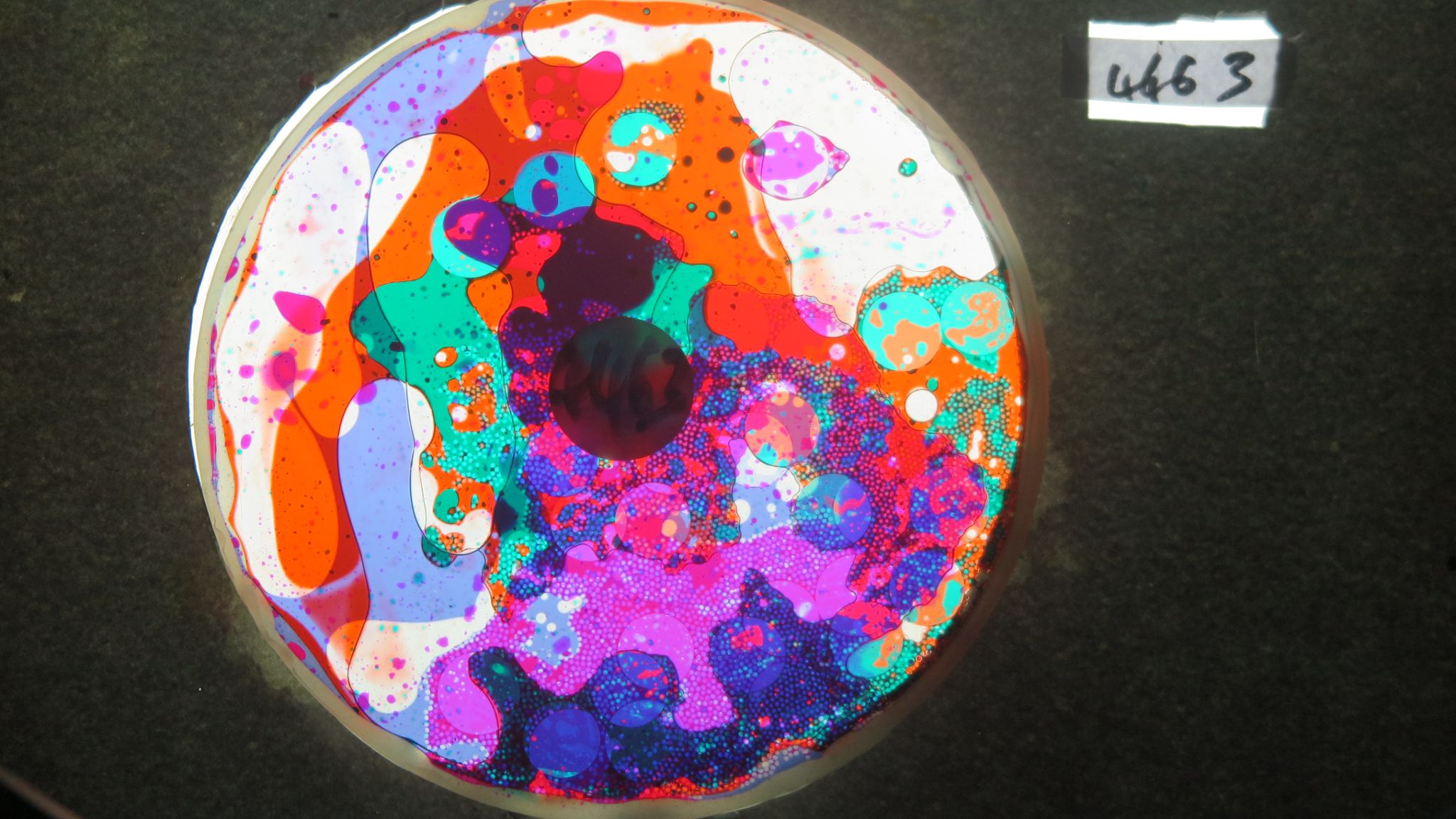 BV4463 bubble vision oil wheel